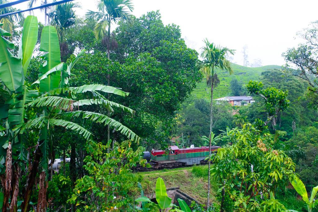 Ella Nature Resort ภายนอก รูปภาพ